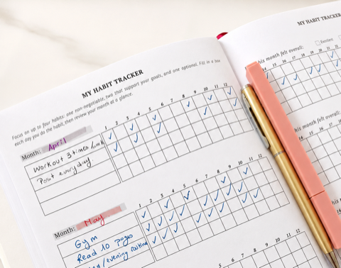 Habit tracker page inside the VisionRuya daily planner