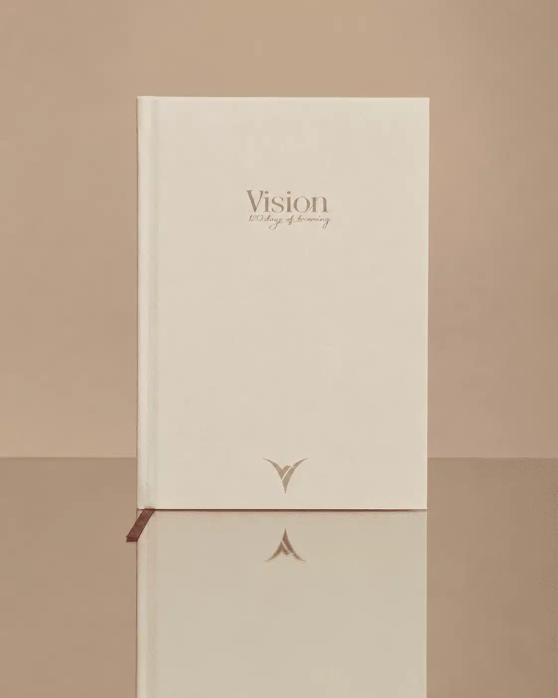 Vision — 120 Days of Becoming product view 1