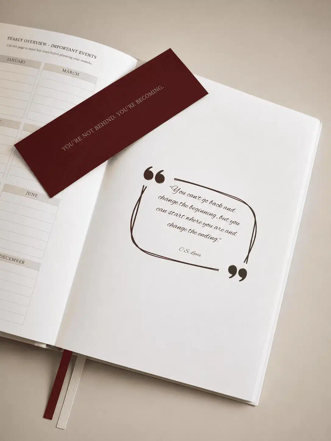 Vision — 120 Days of Becoming product view 12